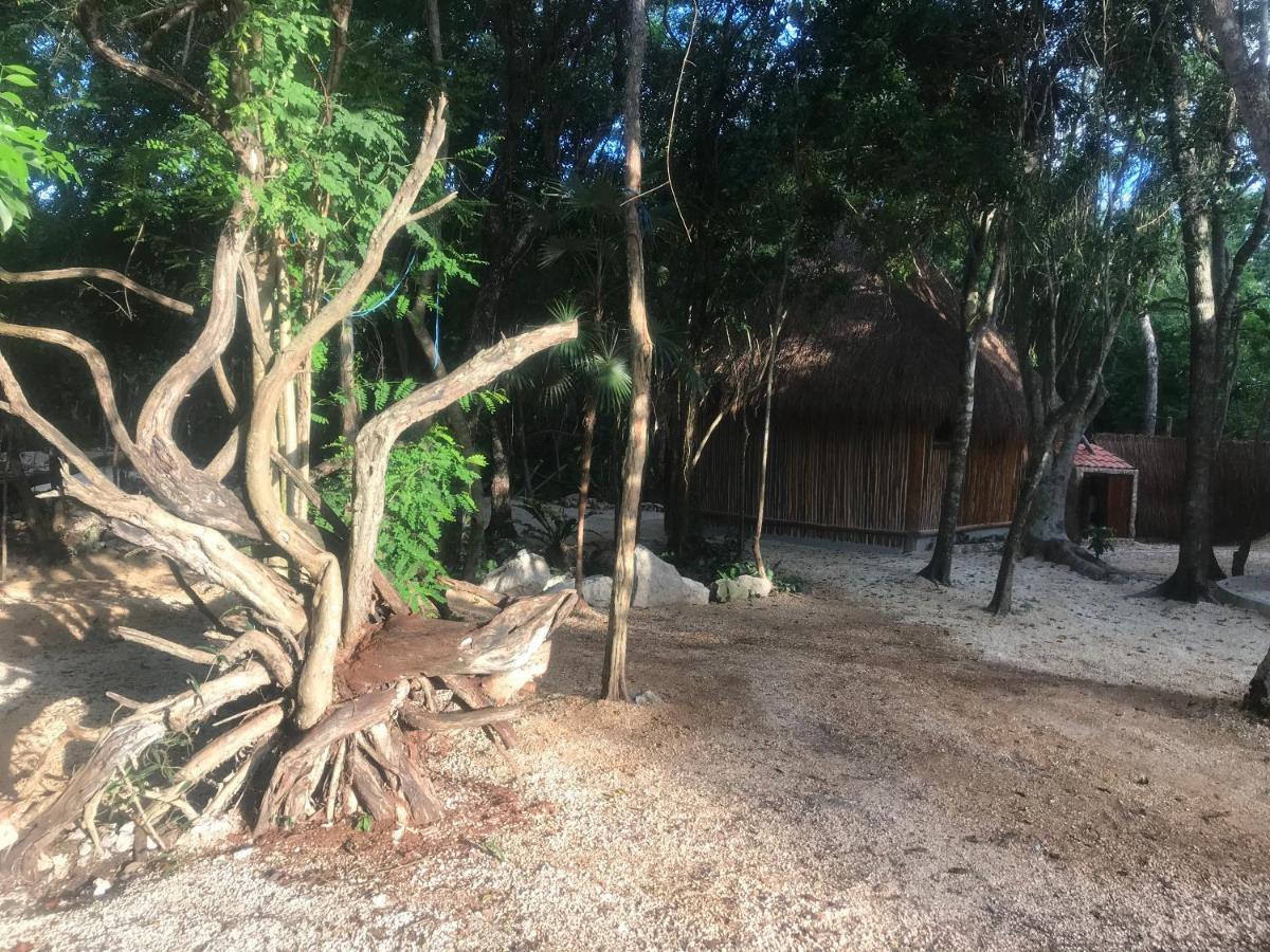 Hotel Tulum Nueve Exterior foto